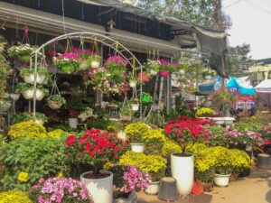 chợ hoa vạn phúc