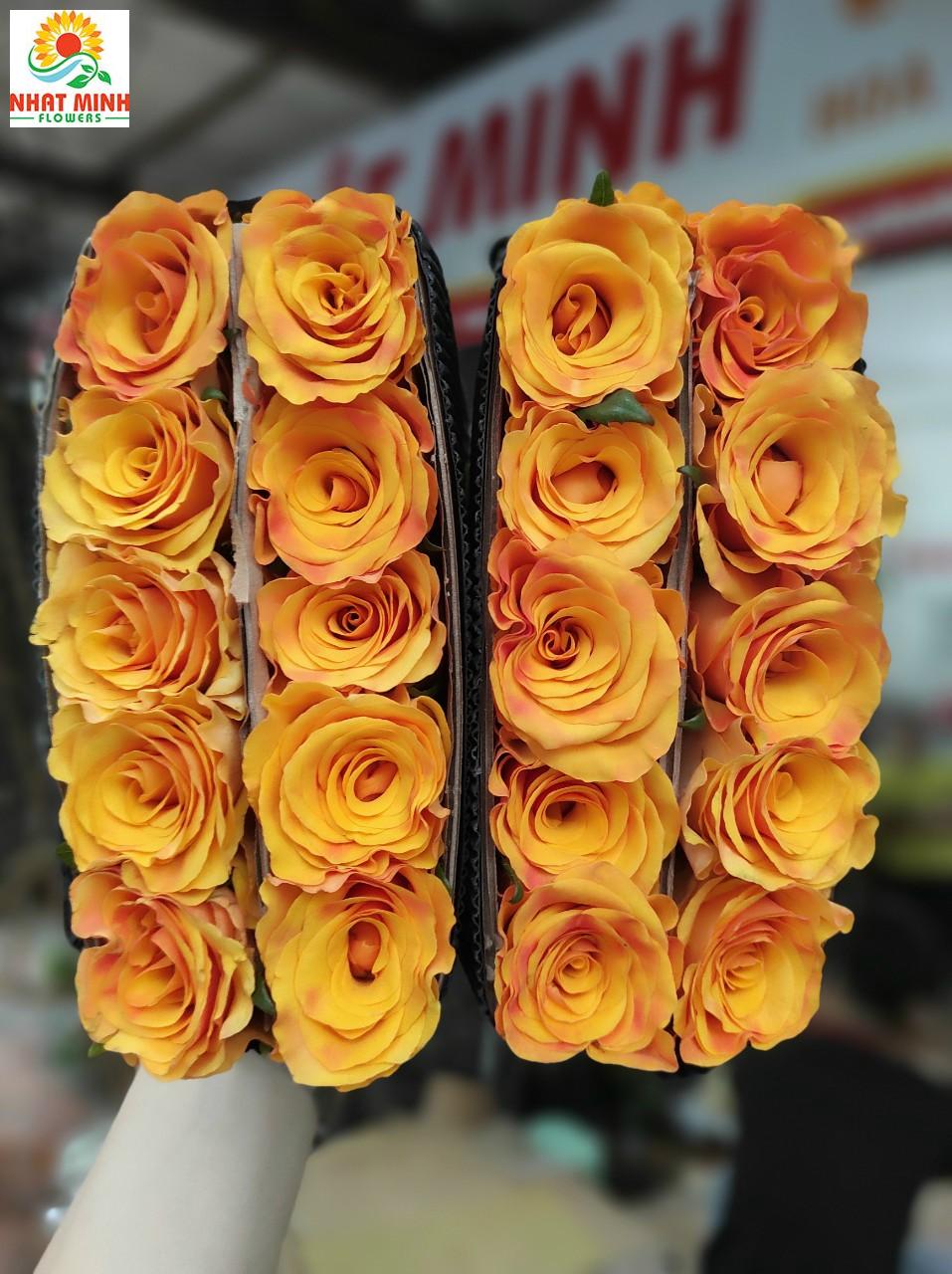 cam cà phê cam cà phê