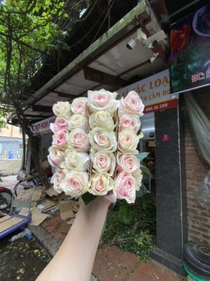 hoa hồng trà